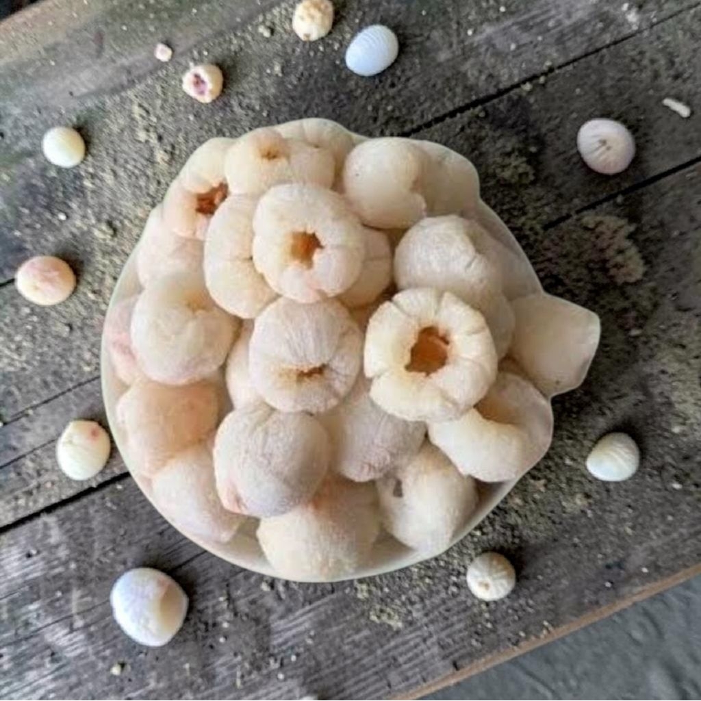 Buah Lychee Frozen 1kg