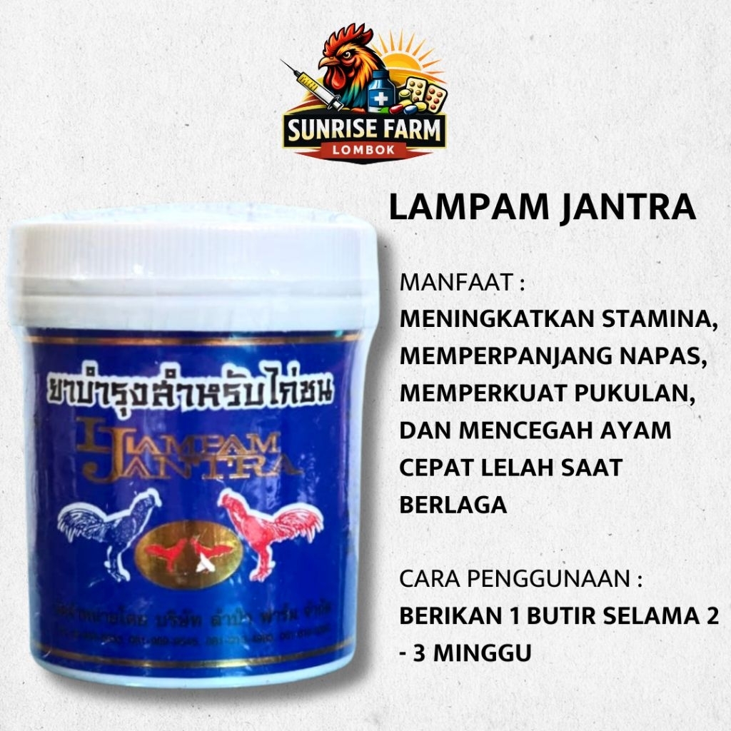 lampam jantra ginseng rawatan untuk ayam dewasa / obat rawatan import thailand / lampam import origi