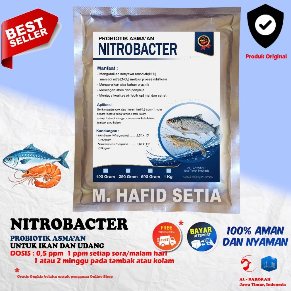 Nitrobacter Original - Probiotik Asma'an Kolam Ikan dan Udang - Solusi biologis menjaga kualitas air