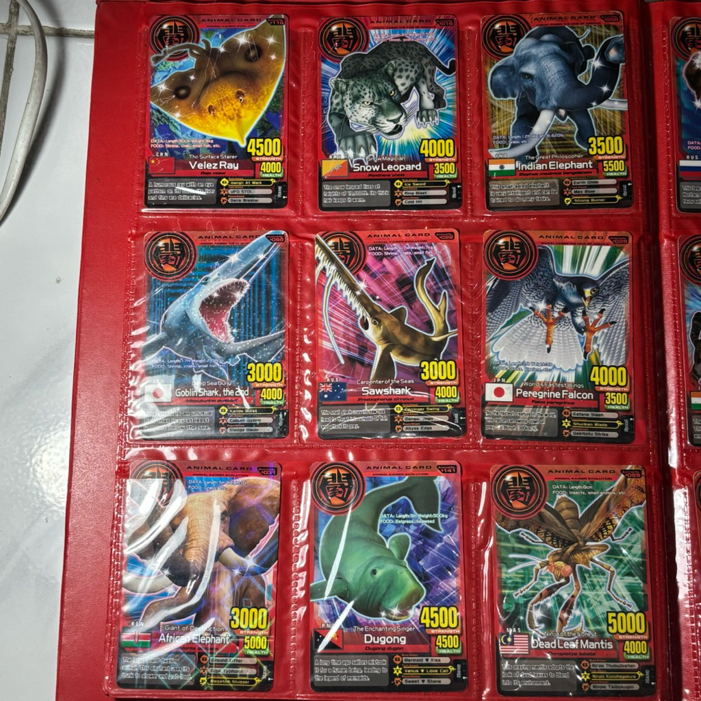 Animal kaiser kartu common animal cards request by chat