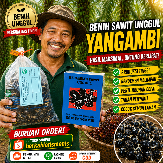 Bibit Kecambah Kelapa Sawit Unggul YANGAMBI Original | 100% Bersertifikat Resmi I isi 250 Butir Siap