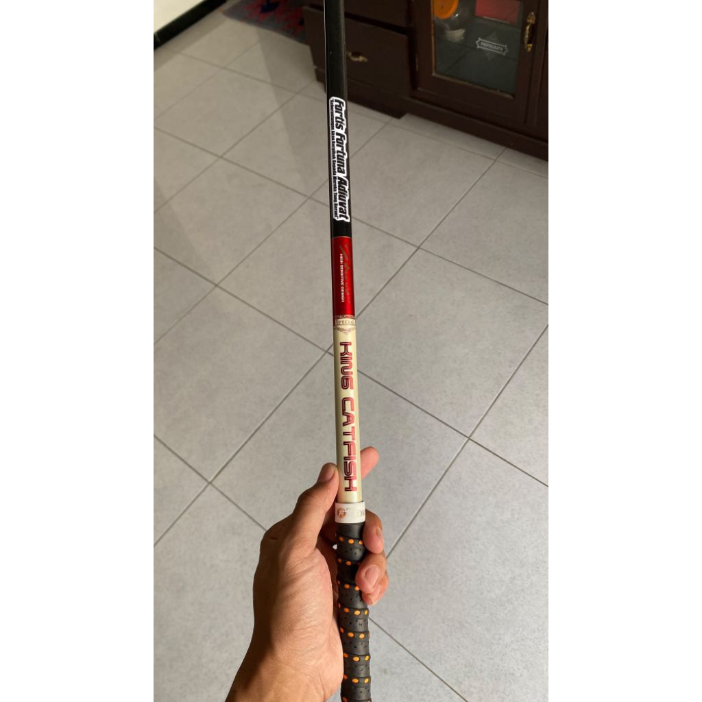 tegek iguruai king cat fish 300
