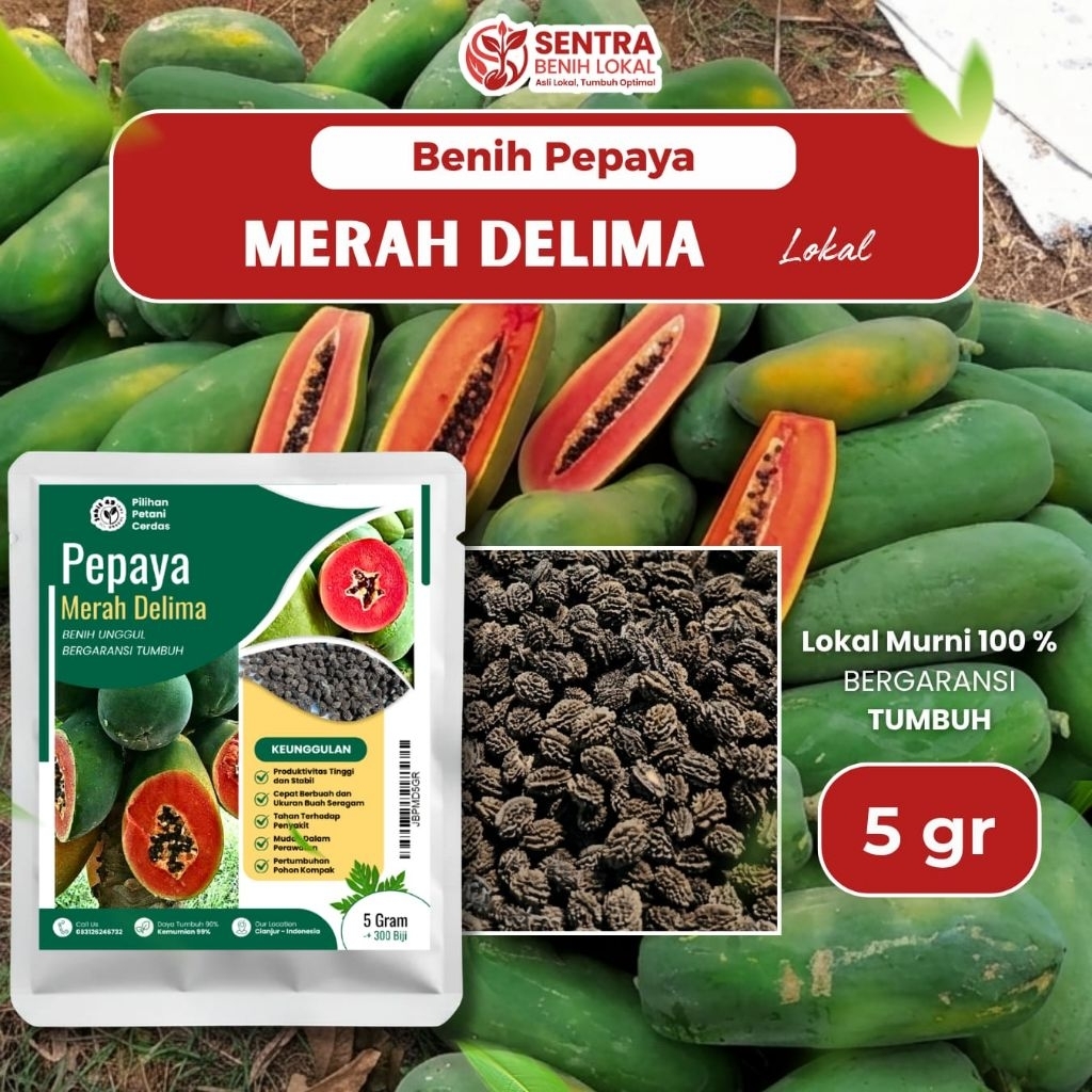 Benih Pepaya Merah Delima Asli Lokal - Genjah & Berbuah Lebat (5g)
