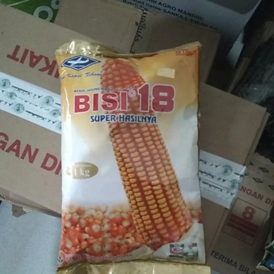 PROMO BELI 8 GRATIS 1 - BENIH JAGUNG BISI 18 1 KG TAHAN BULAI ASLI ORIGINAL KEMASAN PABRIK