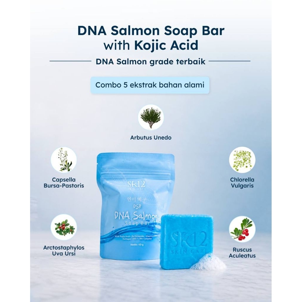 DNA salmon Cream Siang Dan Cream Malam DNA Salmon SR12 | DNA Salmon Day Dream | DNA Salmon Night Cre