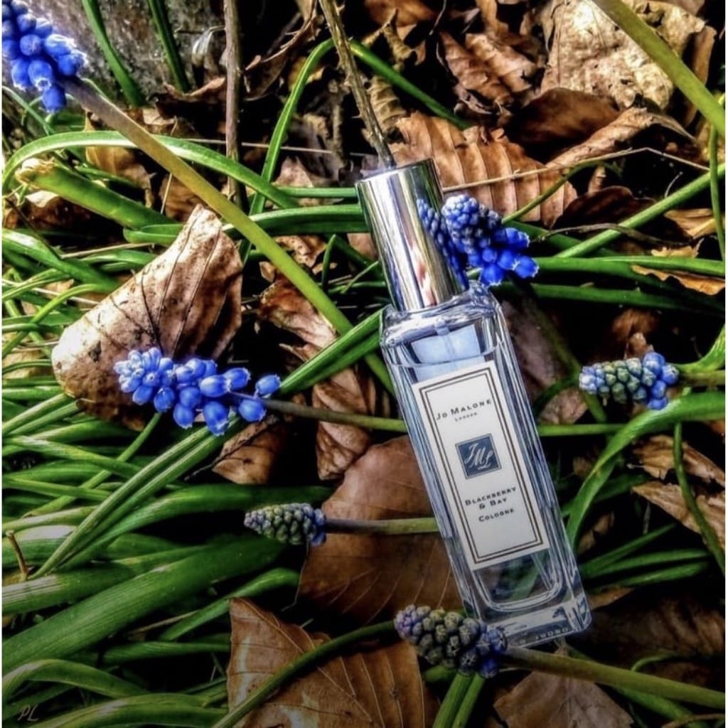 Parfum Original Eropa Jo Malone Blackberry & Bay 30 ml  parfum unisex