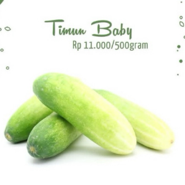Timun Segar 250 Gram - Renyah, Segar, Sumber Vitamin C/TIMUN BABY/TIMUN LALAPAN/TIMUN KECIL/TIMUN SE
