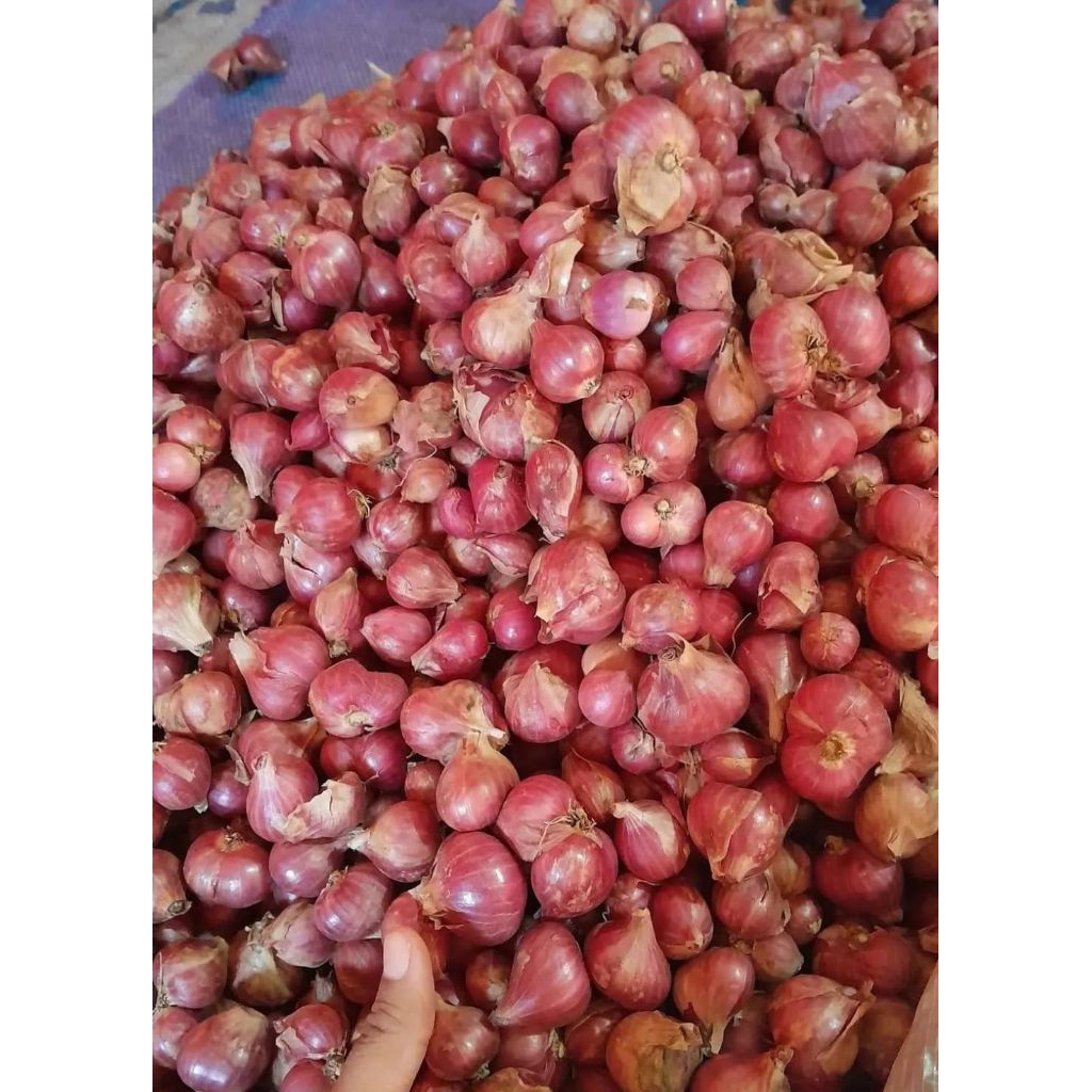 Bawang Merah Probolinggo 1kg/Bawang Merah Probolinggo