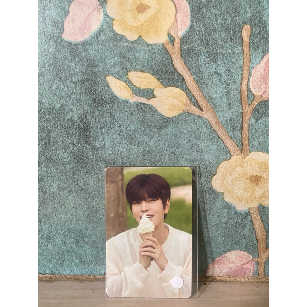 Seungmin Nacific x Straykids (Official Photocard)