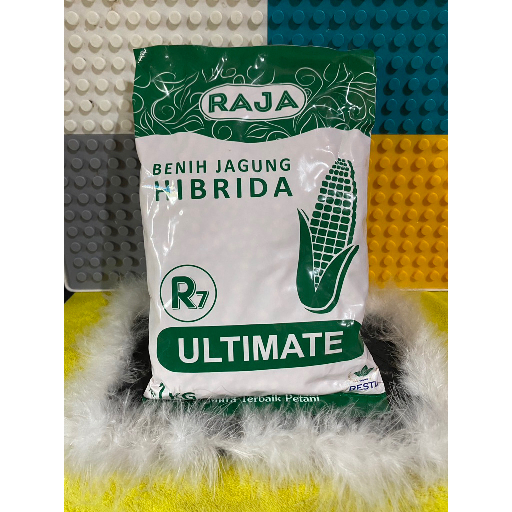 Benih Bibit Jagung Hibrida Raja R7 ULTIMATE Kemasan 1kg