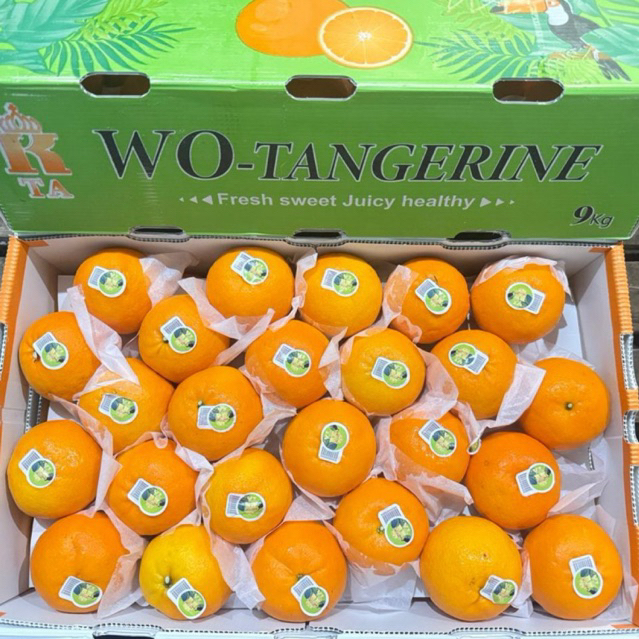 Jeruk Wokam Wogan jeruk mandarin