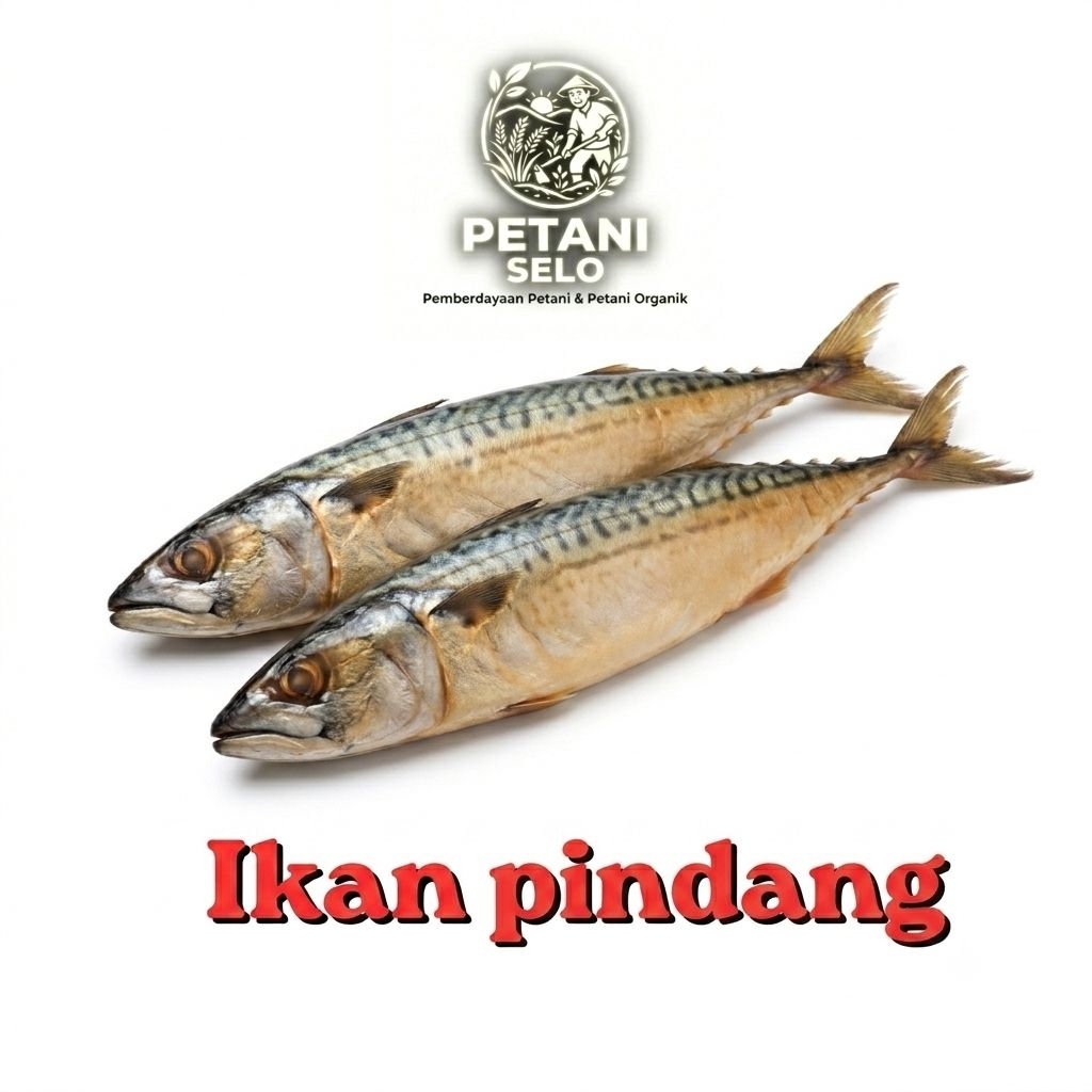 ikan patin 1 ekor
