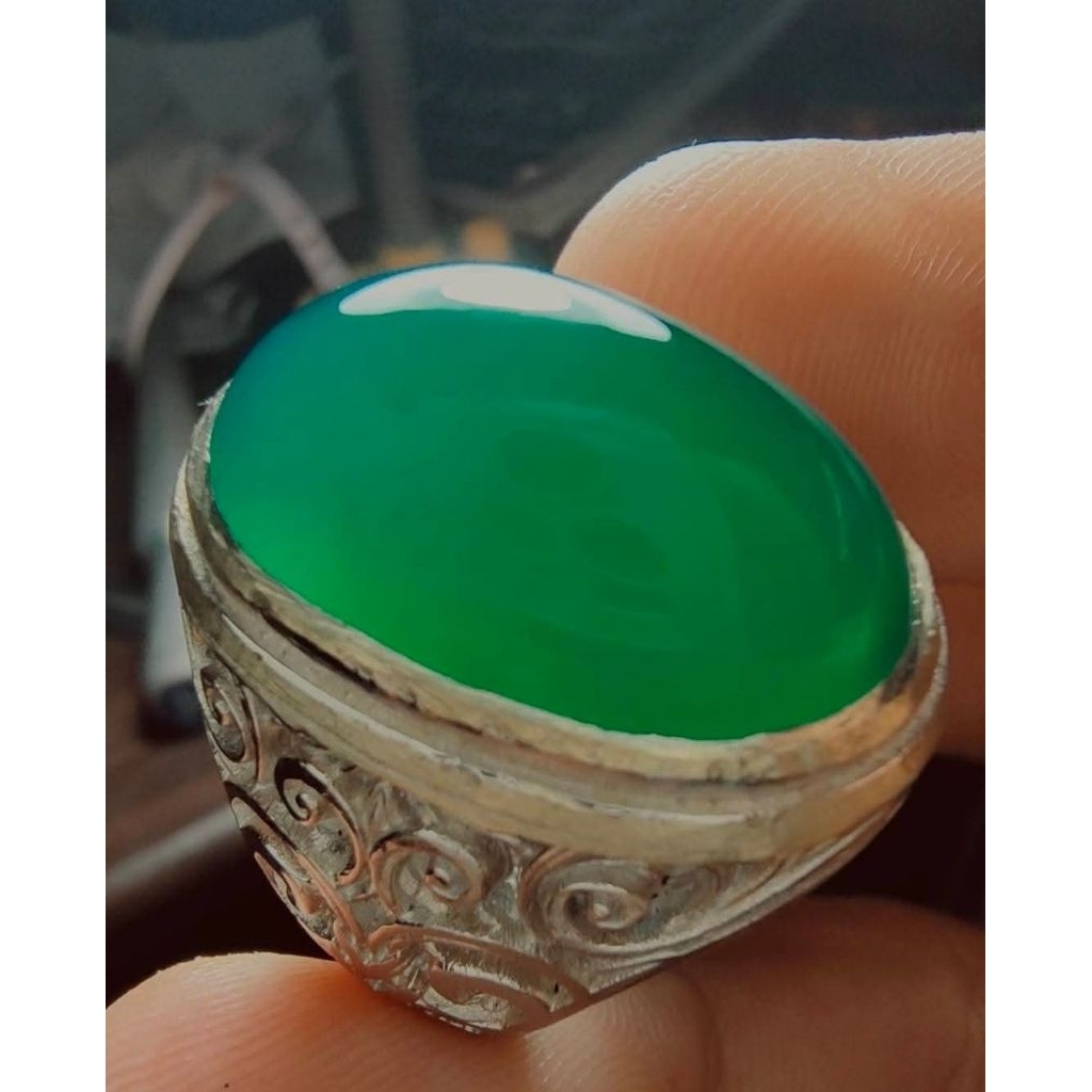 Bacan Doko Gulau Coklat super HQ size jumbo mumbul