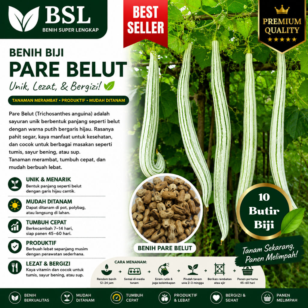 ( 10 Butir ) Benih Biji Pare Belut | Paria Belut | Pare Ular | Snake Groud | UKI BIBIT