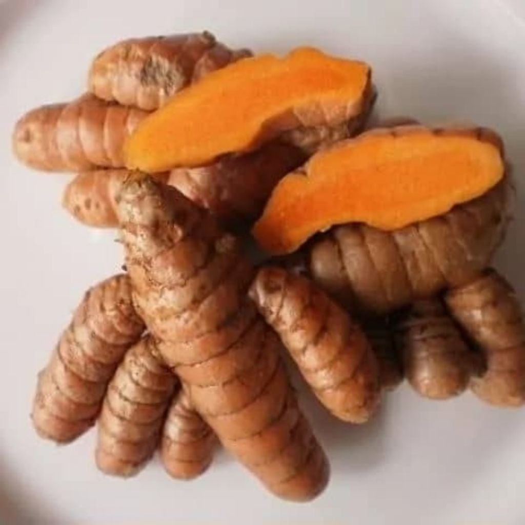 kunyit segar 1kg, kunyit fresh 1kg, kunyit segar alami