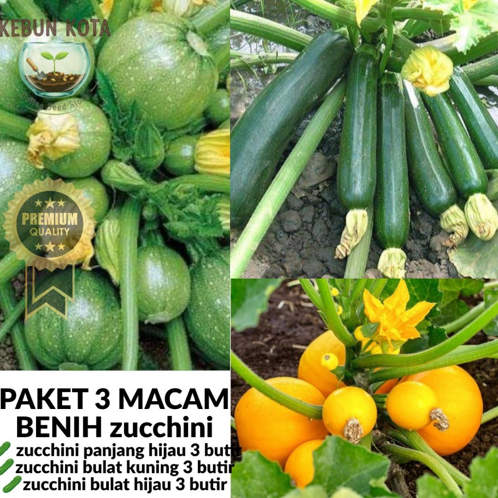 PAKET BENIH SAYURAN ZUCCHINI  MIX[KEBUN KOTA]-BIJI  BENIH Tumbuhan "ZUCCHINI BULAT HIJAU BULAT KUNIN