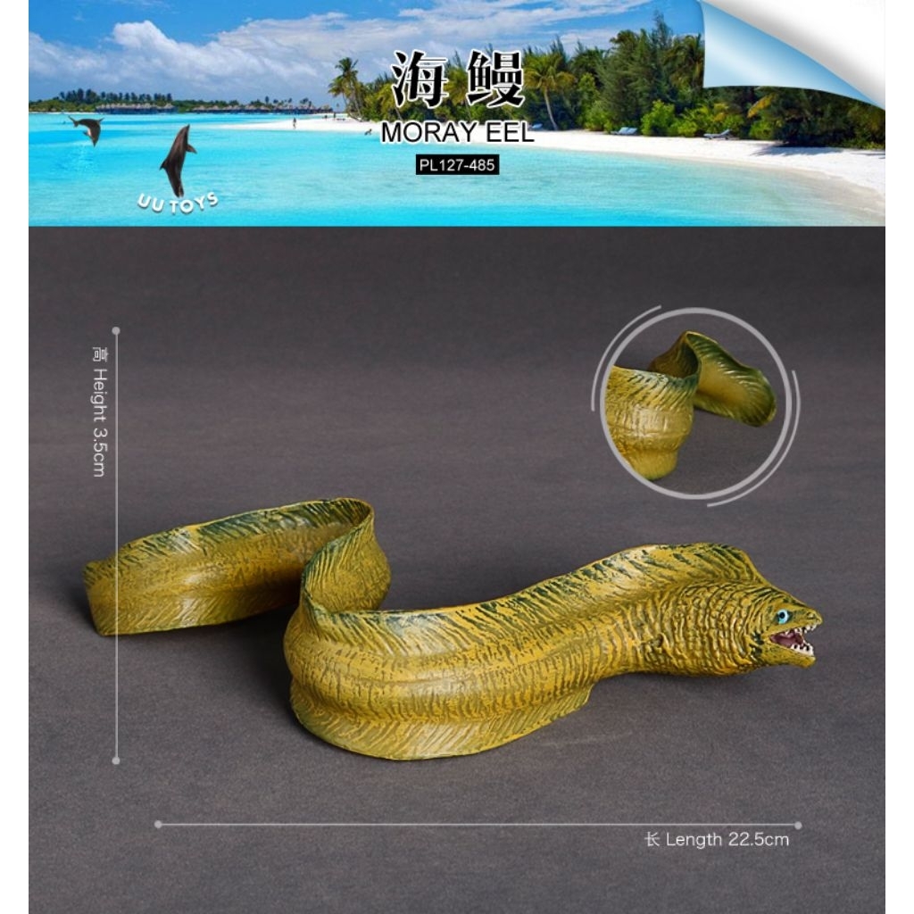 Mainan Belut Moray Moray Eel Figure Realistis Hewan Laut Animal Figure KoleksiAlternatif Judul: