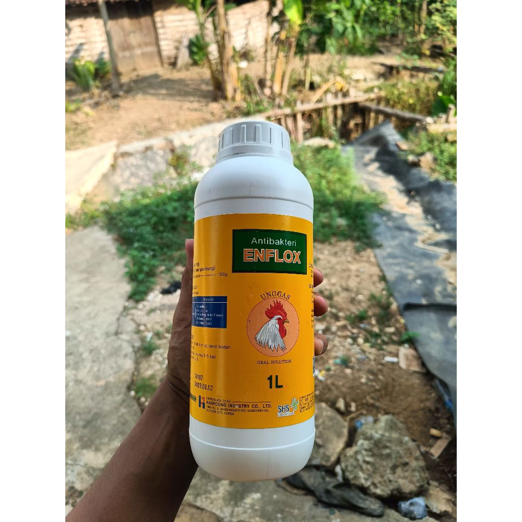 ENFLOX 1 Liter antibakteri untuk crd,ccrd dan pencernaan