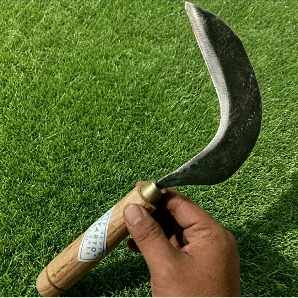 Sabit Arit Baja Tajam Pengaritan Padi dan Rumput Ringan 30cm