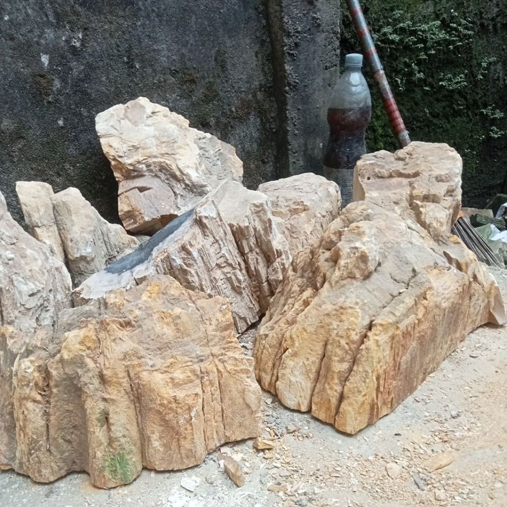 batu fosil tekstur serat kayu eksotis