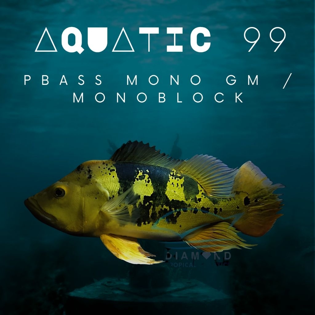 Pbass Mono GM / Monoblok 11-13cm