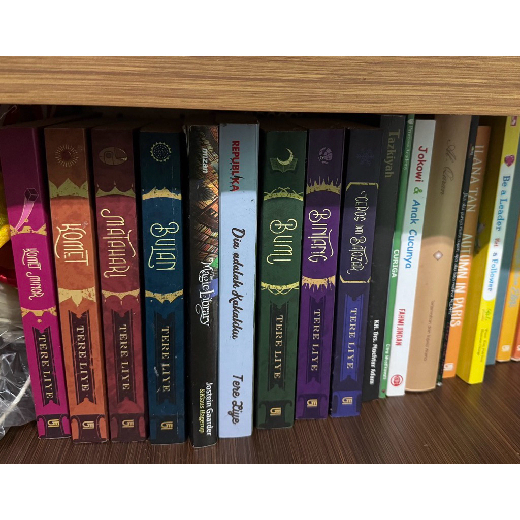 Preloved Novel Bumi Series Original