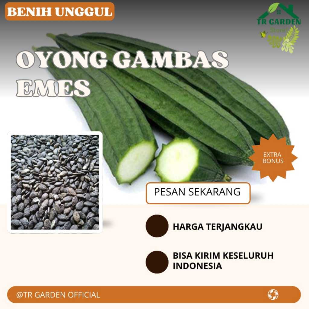 (1 Kg) Bibit Benih Emes / Oyong Unggul (Extra Bonus)