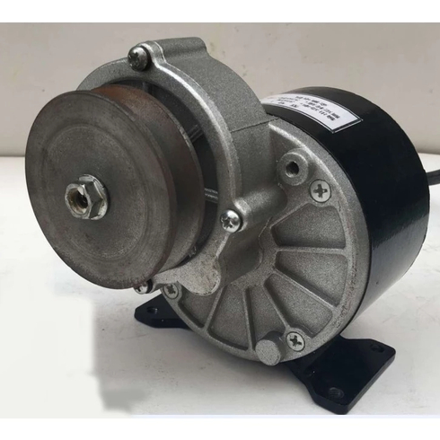 Dinamo Motor Brushed  Pulley Motor Electric Bike (7209) - MY1016Z3  350W 24V