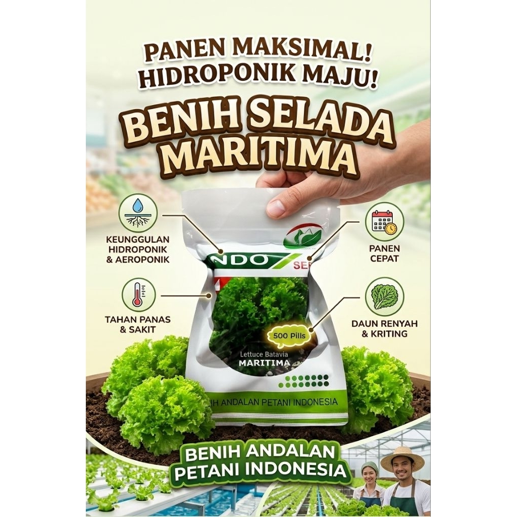 Benih Selada Maritima 500 pills kemasan asli