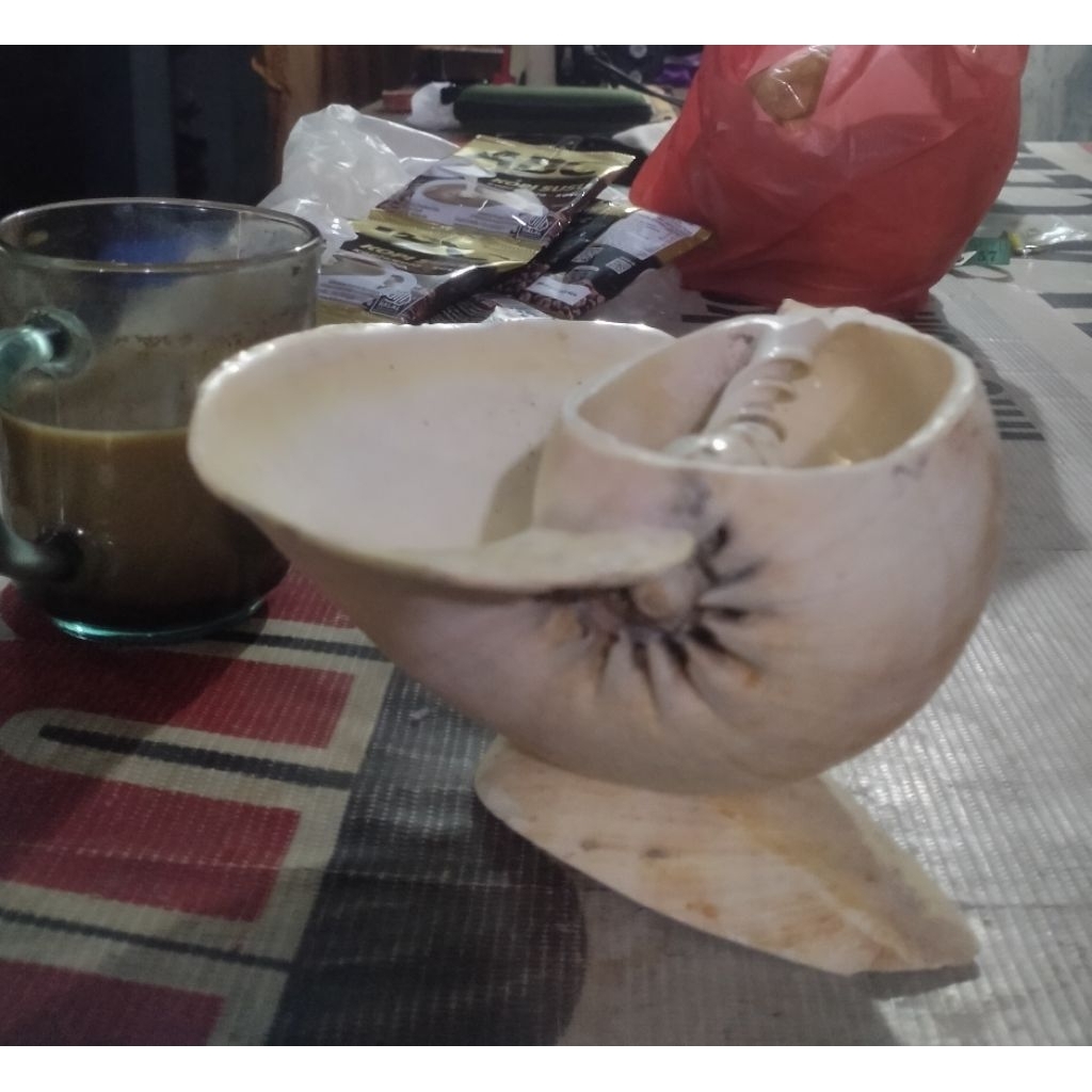 Asbak antik keong besar
