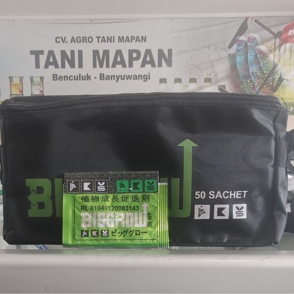 BIG GROW 5GRAM (GA3) Exp 30 Jan 2031