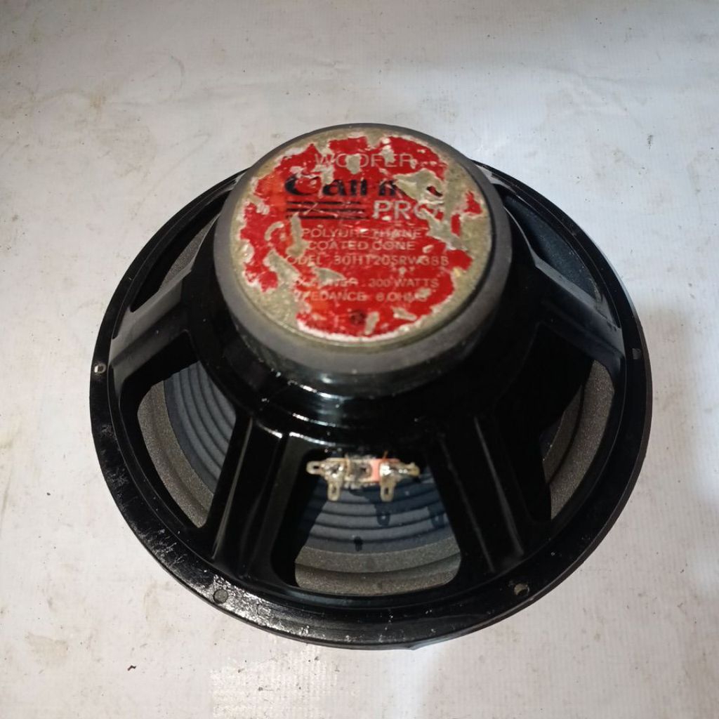 Speaker Canon 12 inch Woofer