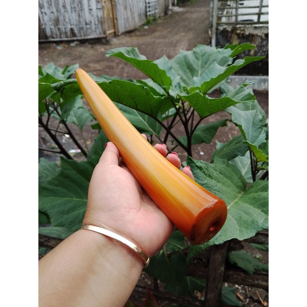 Once serbuk sari gg lawasan