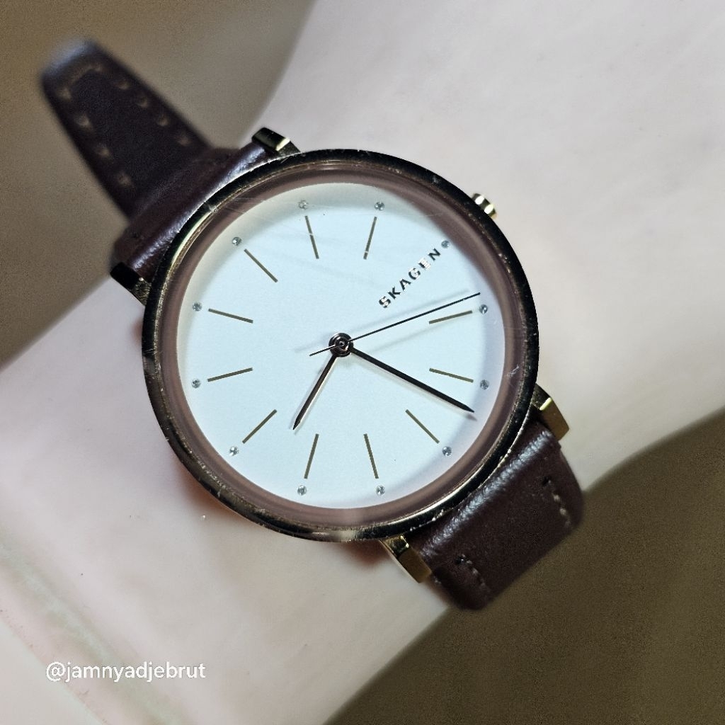 Jam Skagen Denmark SKW2488 Gold White Bekas