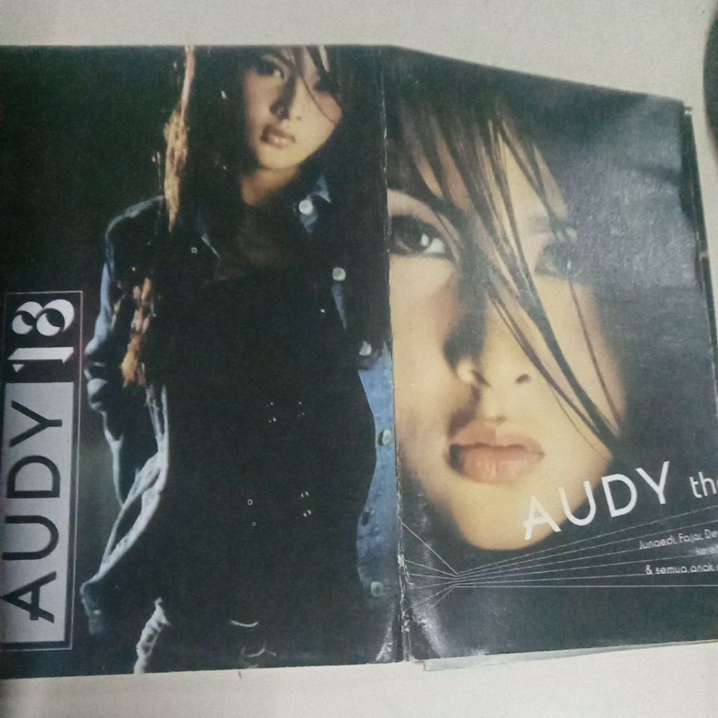 KASET PITA AUDY 18L156