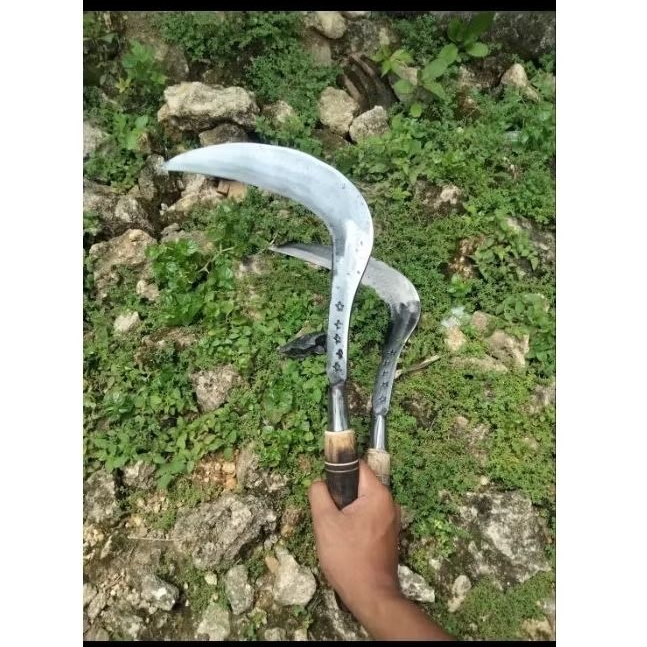 Alat Pemotong Rumput Arit Bintang 5 Pande Sepuh Jawa