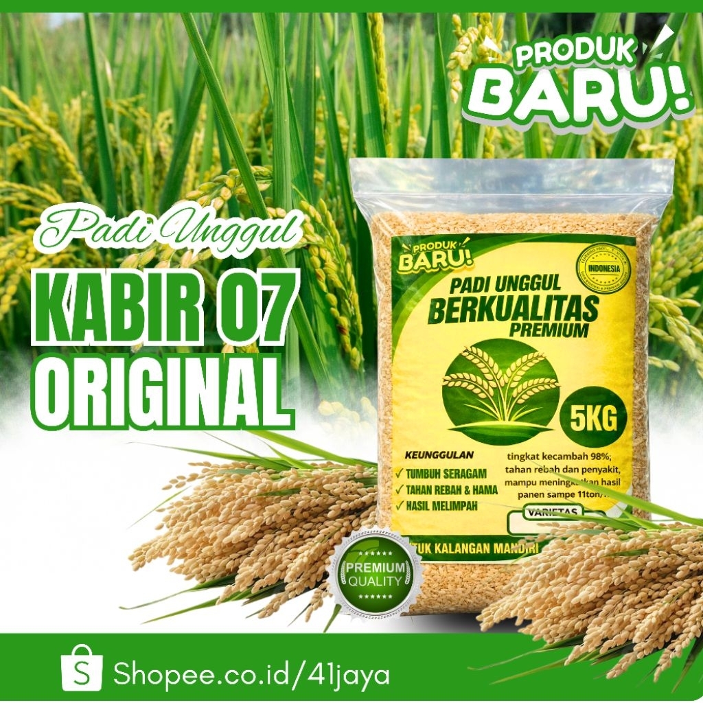 Benih padi KABIR 07 original 5kg