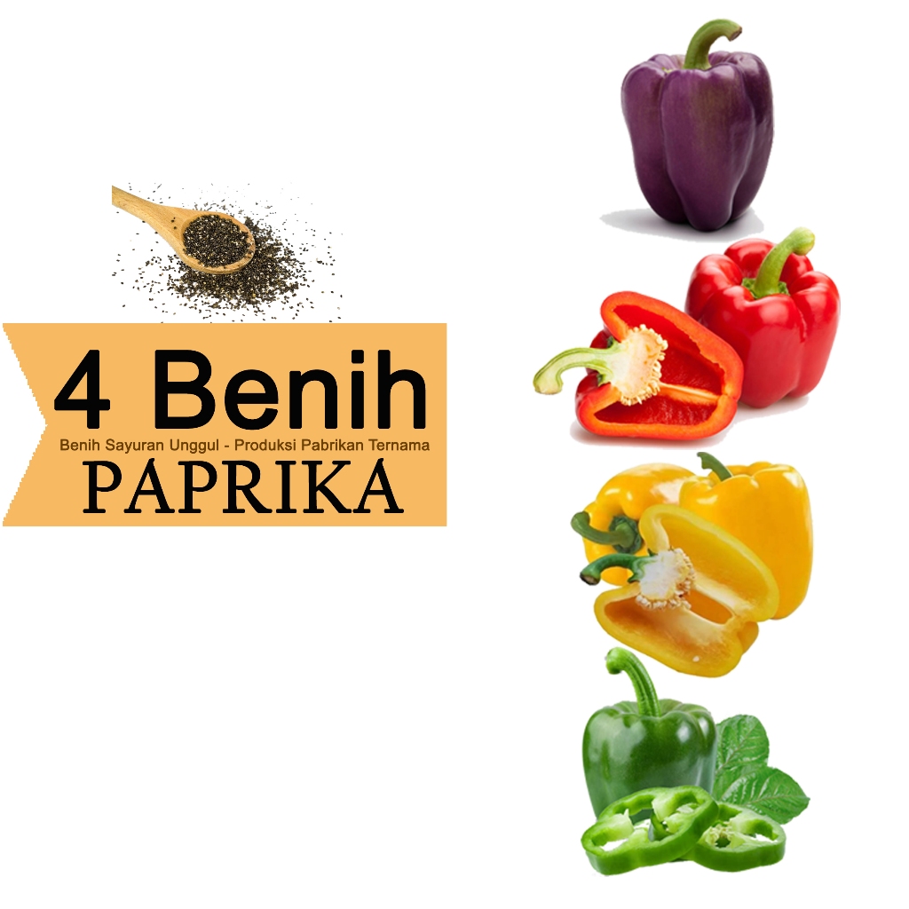 Paket 4 Benih Paprika Merah Kuning Hijau Ungu Bibit Biji Sayur Rumahan