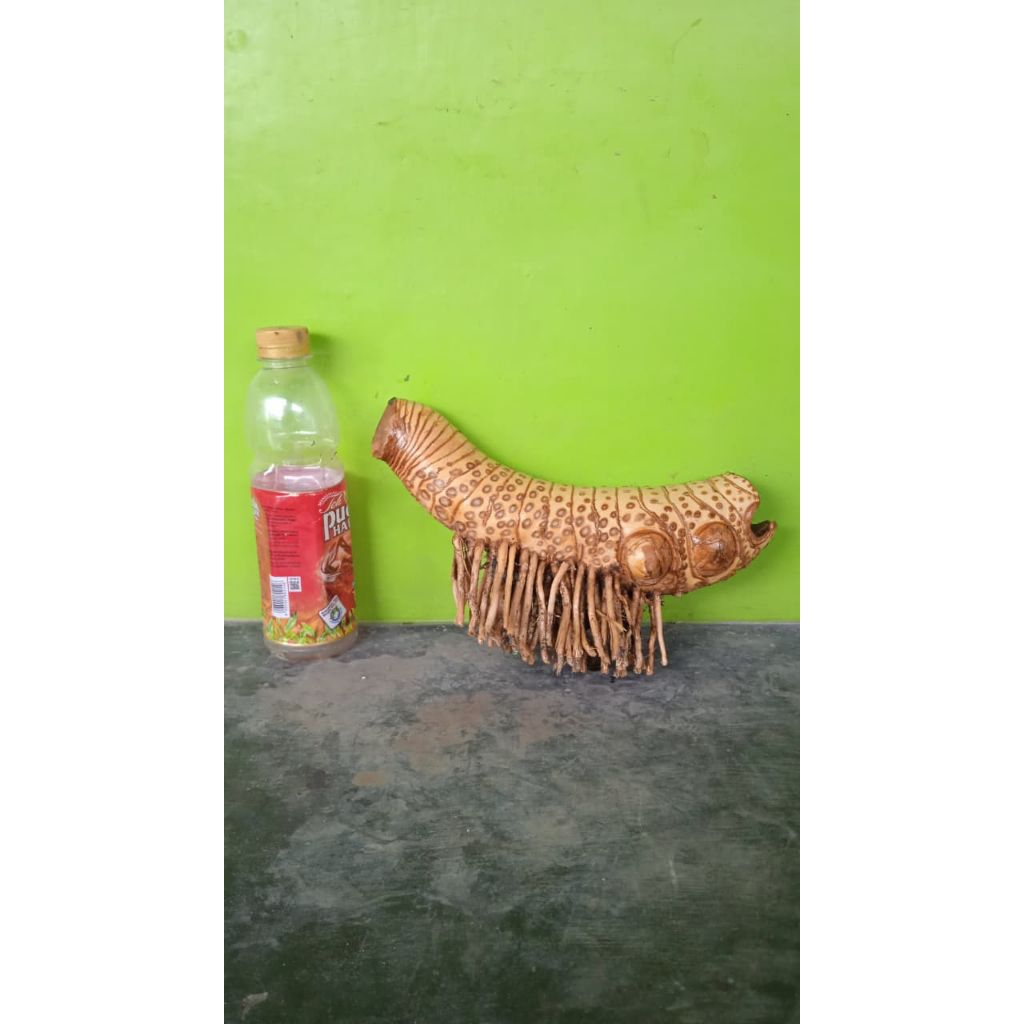 Bahan bonsai bambu kuning