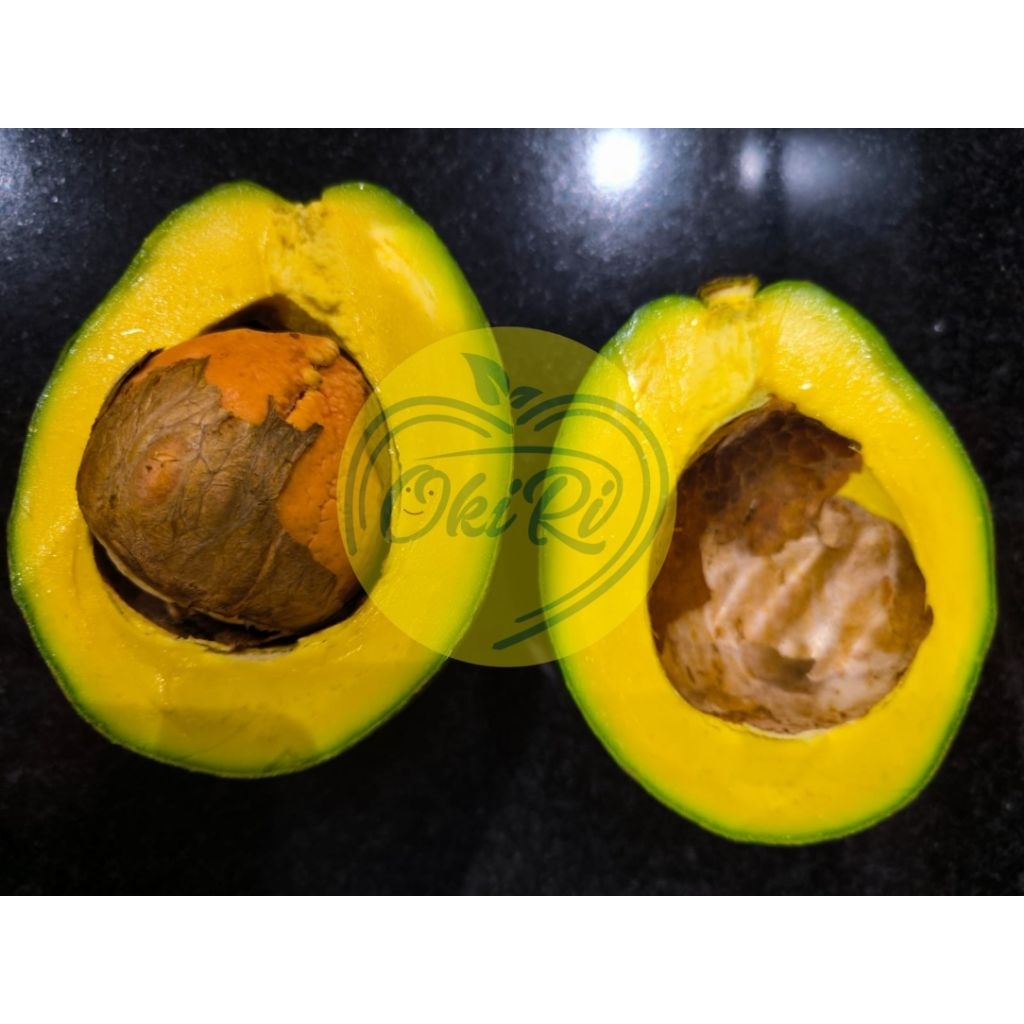 alpukat miki cipedak depok / alpukat mentega / alpukat pulen legit