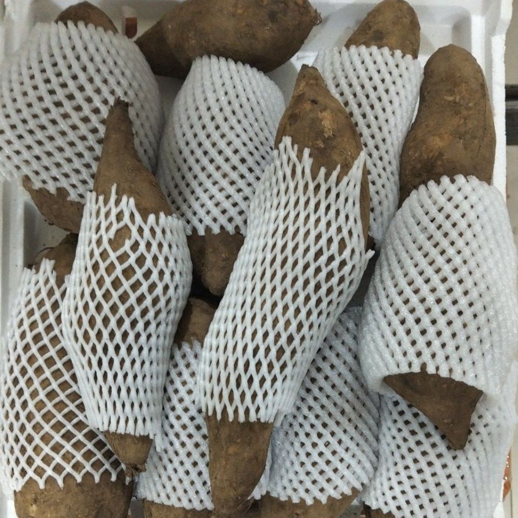 ubi yakon fresh manis,renyah & juice