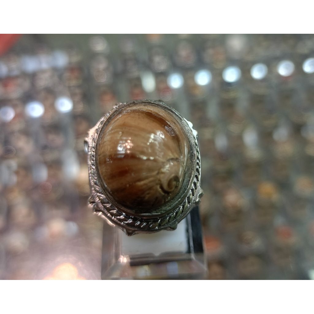Cincin Fosil Keong/ kol buntet (Natural)