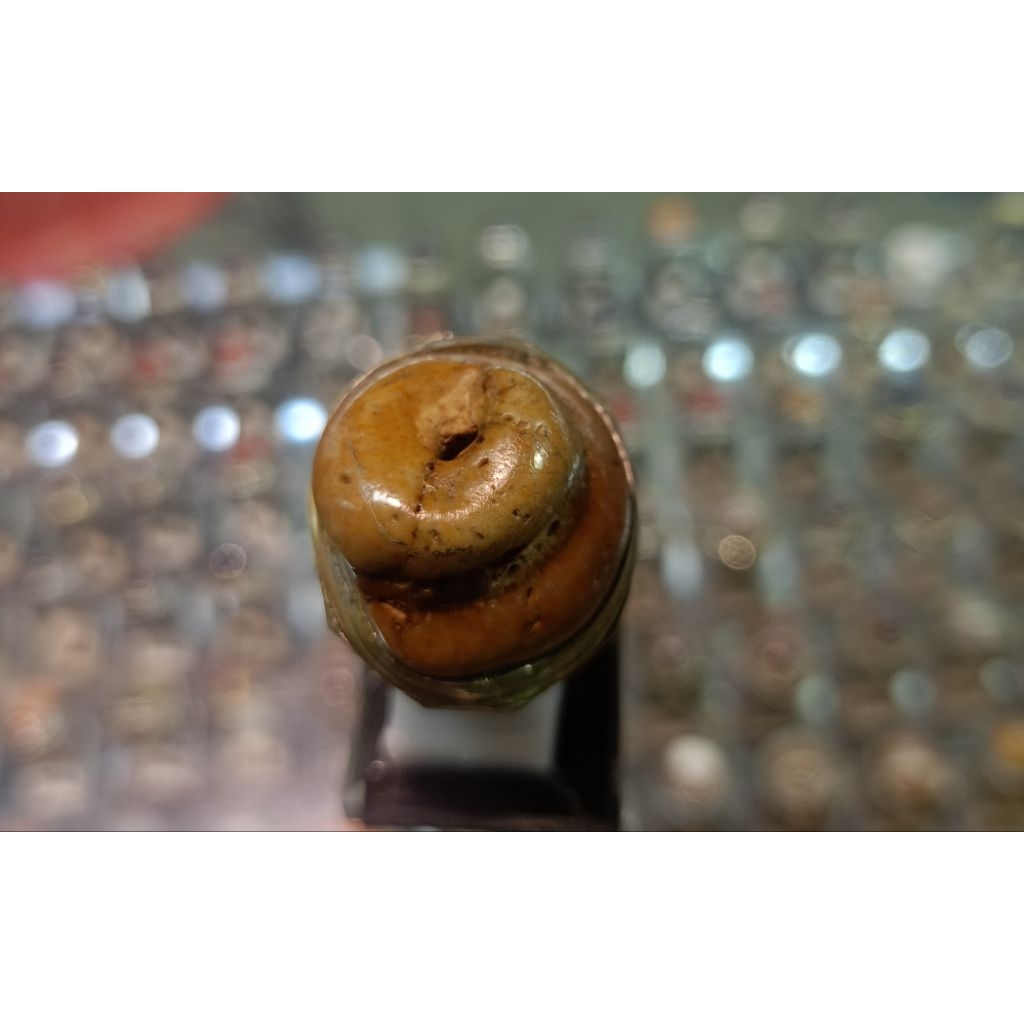 Cincin Fosil keong / kol buntet (Natural)