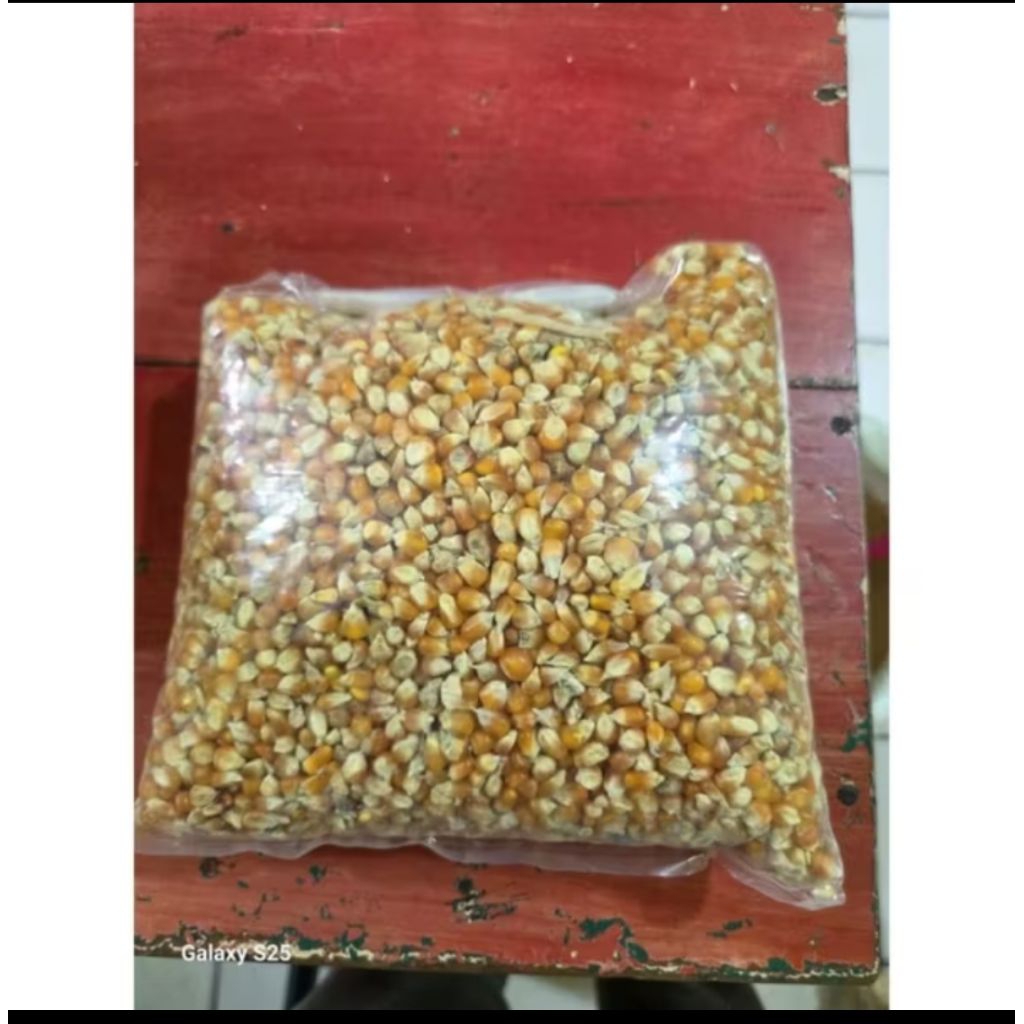 jagung merpati 1kg
