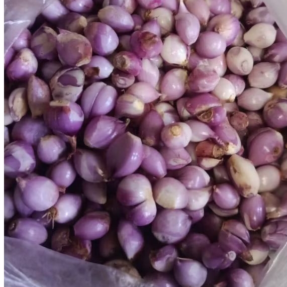 Bawang merah kupas 1 kg - instan surabaya - PO bawang merah kupas