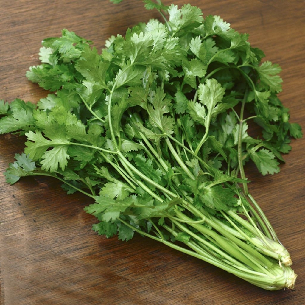 Daun Ketumbar Segar 50gr_100gr_200gr ( CORIANDER LEAVES )