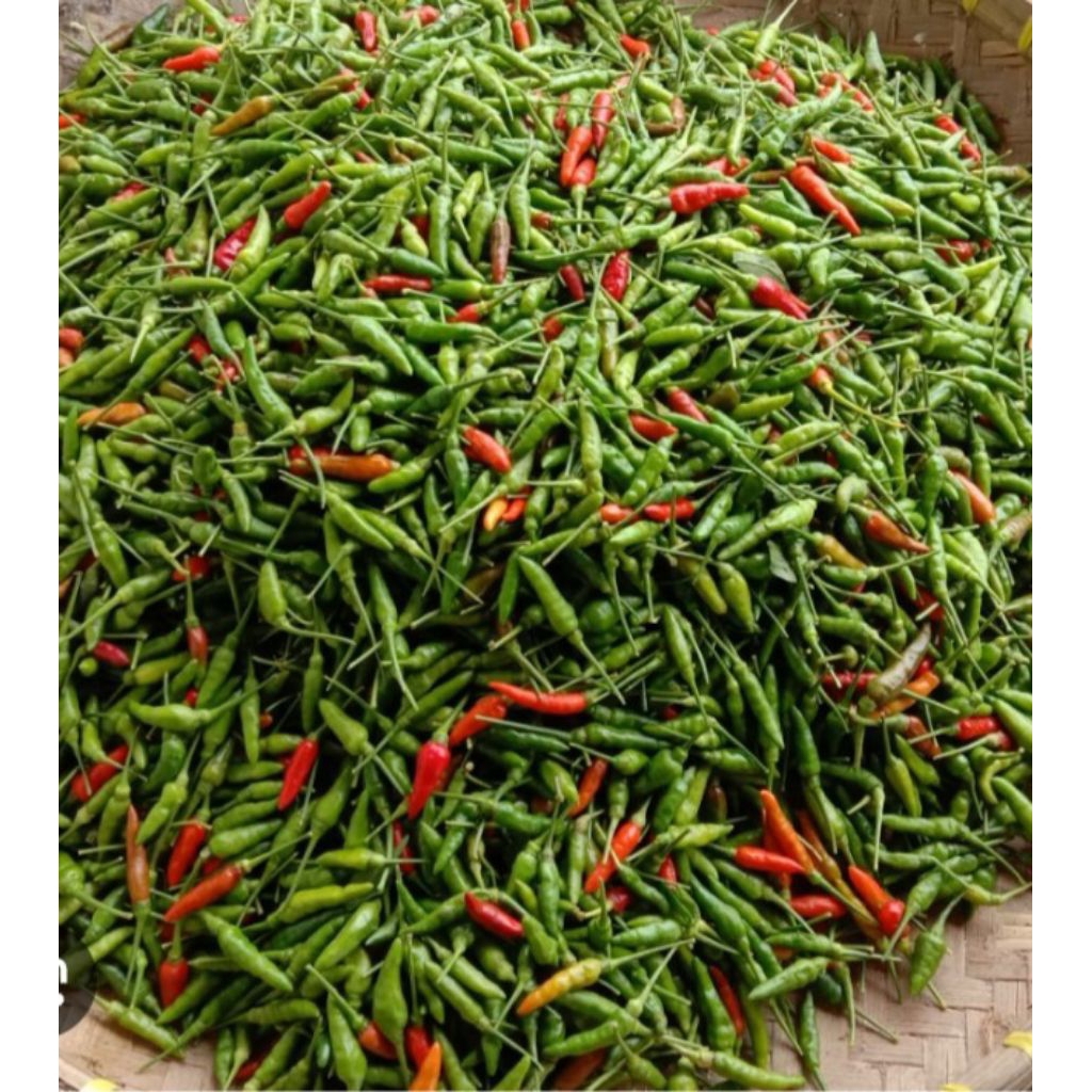 cabe rawit hijau kecil/ Lombok merica, Lombok murah makassar