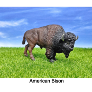 American Bison Animal Figure / Miniatur Bison Amerika by MOJO