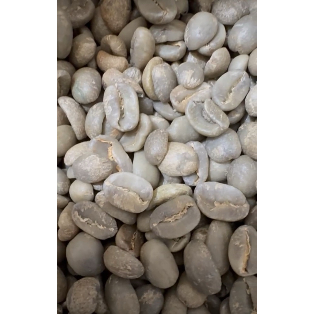 ARABICA GREEN BEAN FULL WASHD