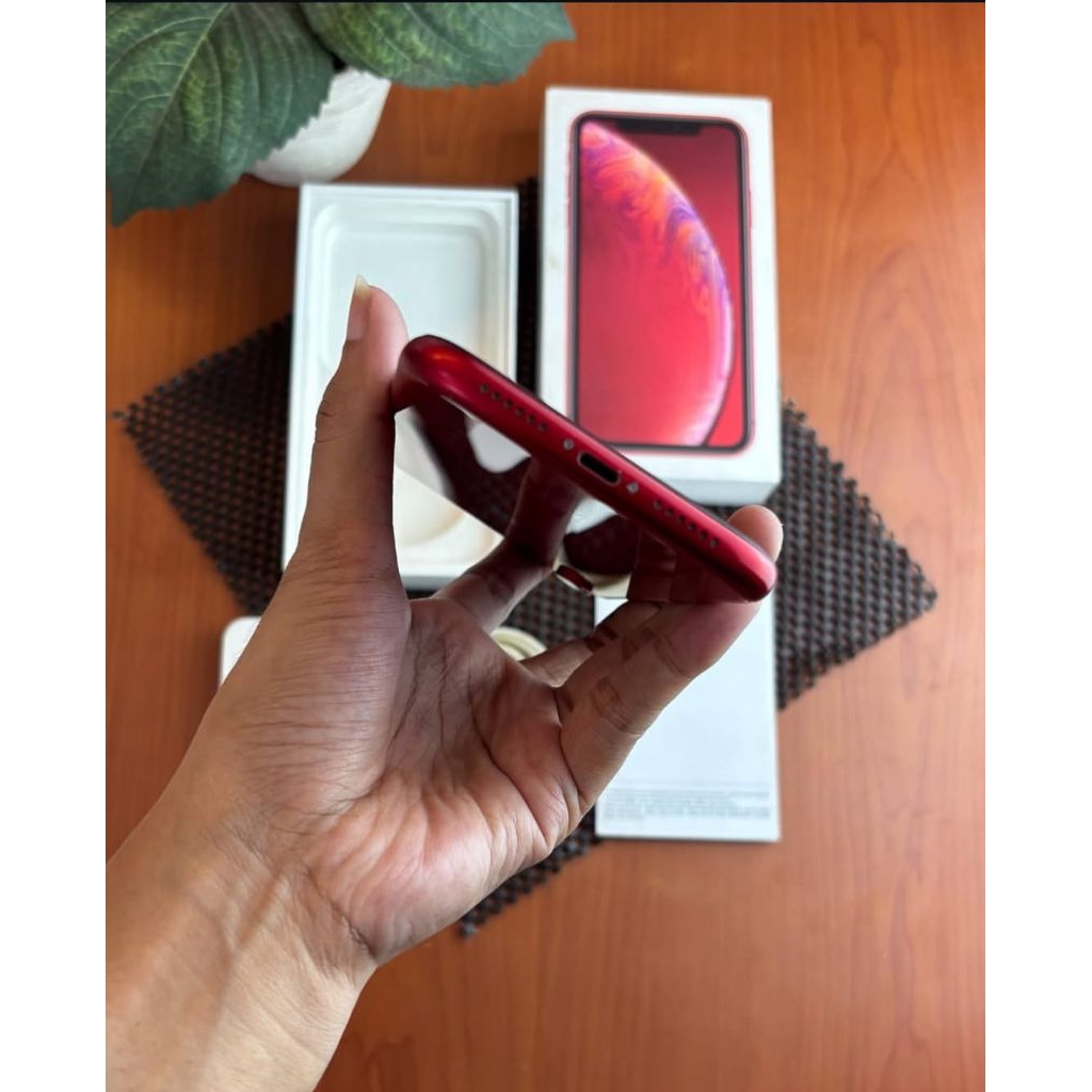 Iphone XR 128 GB ex Ibox